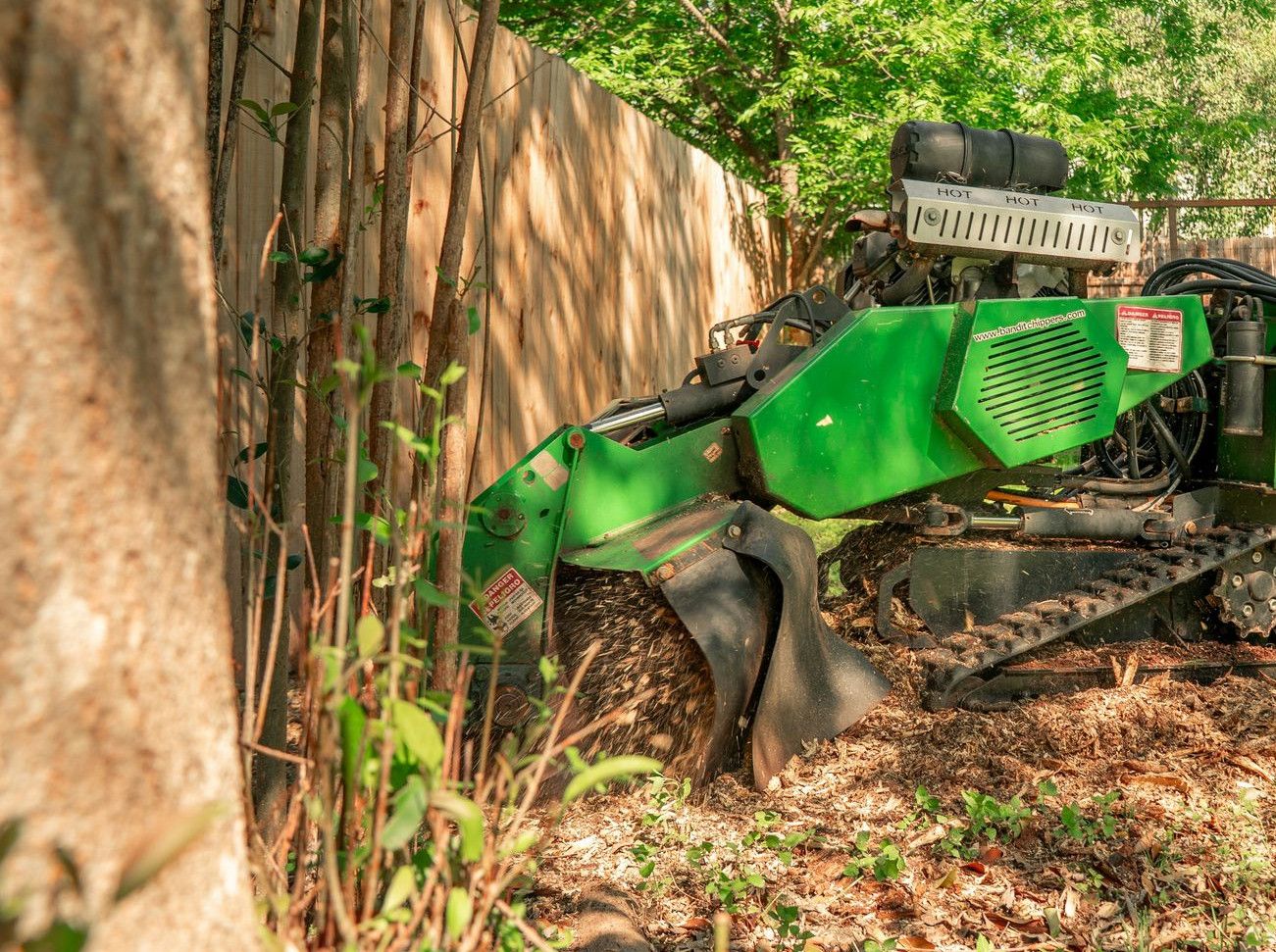 A worker operates a tree stump grinder.
